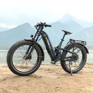 Hiboy EX11 Full Suspension