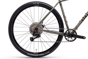 4130 All-Road - Raw Phosphate (12 Speed / UDH)